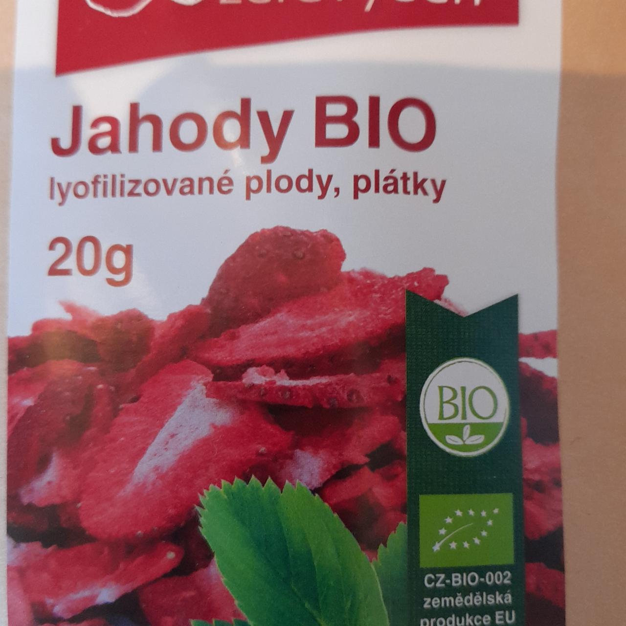 Fotografie - Jahody BIO Lyofilizované plody Zdravý den