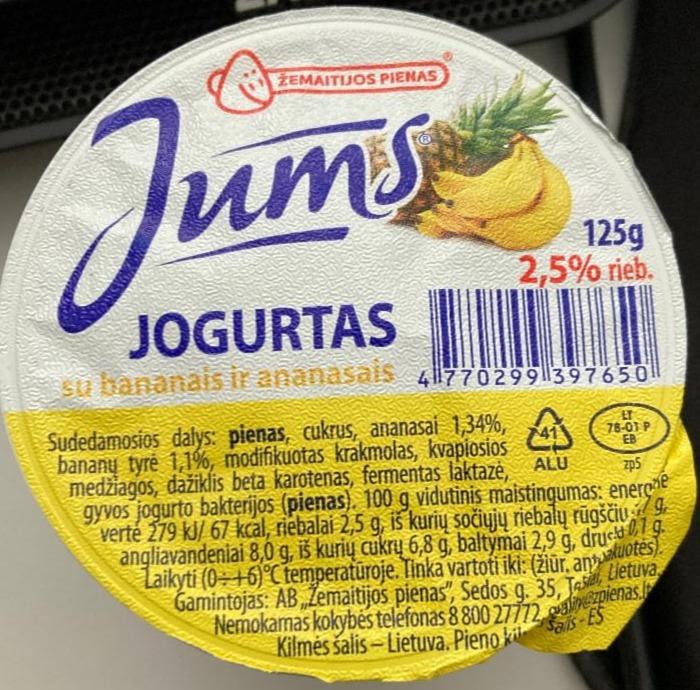 Fotografie - Jogurtas su bananais ir ananasais 2,5% Jums