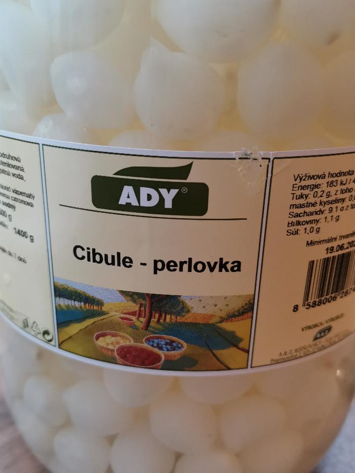 Fotografie - Cibule perlovka ADY