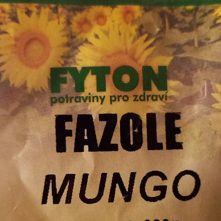 Fotografie - mungo fazole Fyton