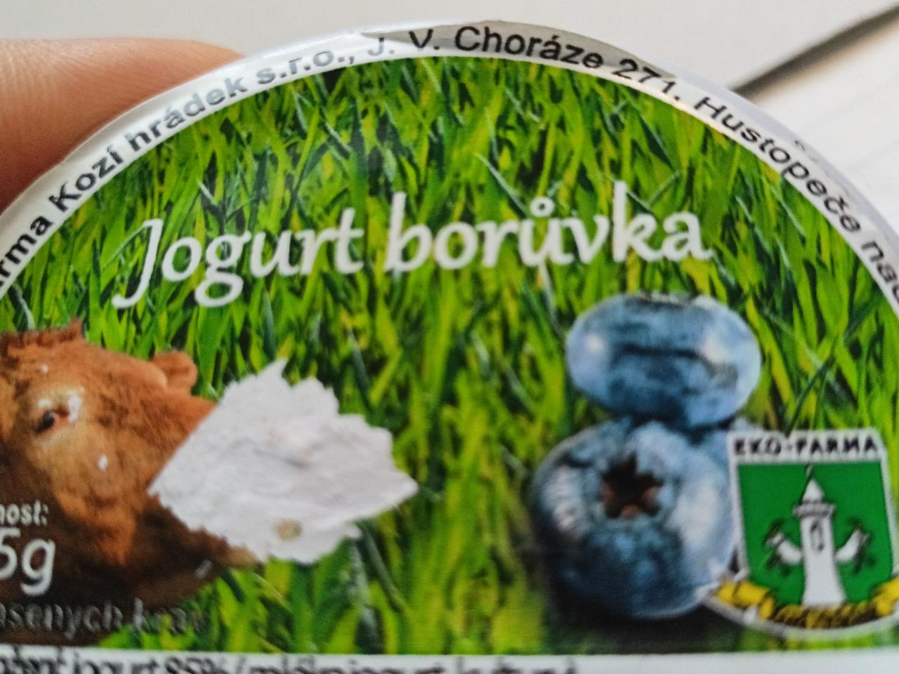 Fotografie - Jogurt borůvka Farma Kozí hrádek