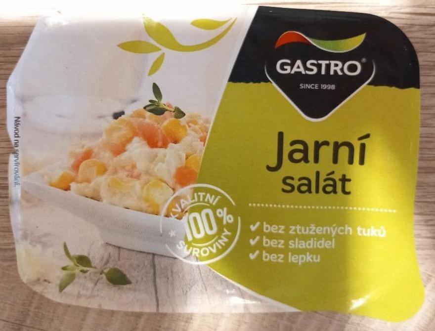 Fotografie - jarní salát Gastro