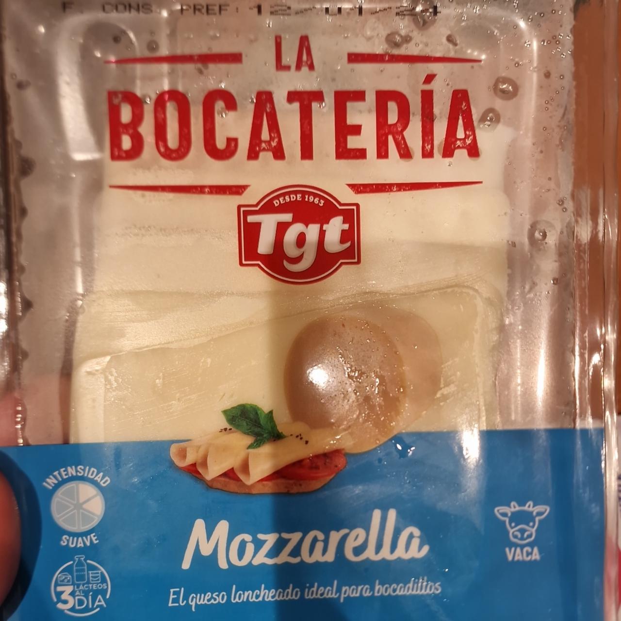 Fotografie - Mozzarella La Bocatería Tgt