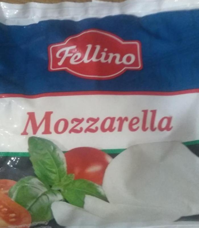 Fotografie - Mozzarella Fellino