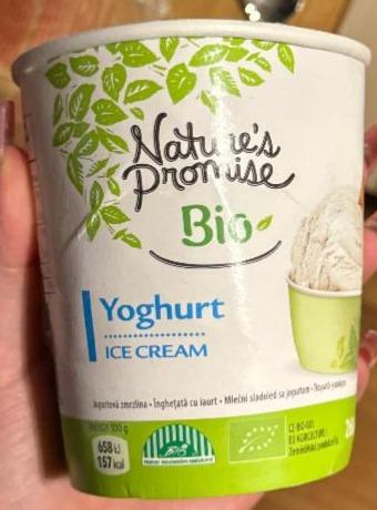 Fotografie - Bio yoghurt ice cream Nature's Promise