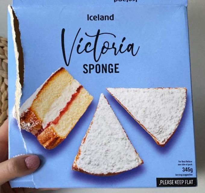 Fotografie - Victoria sponge Iceland