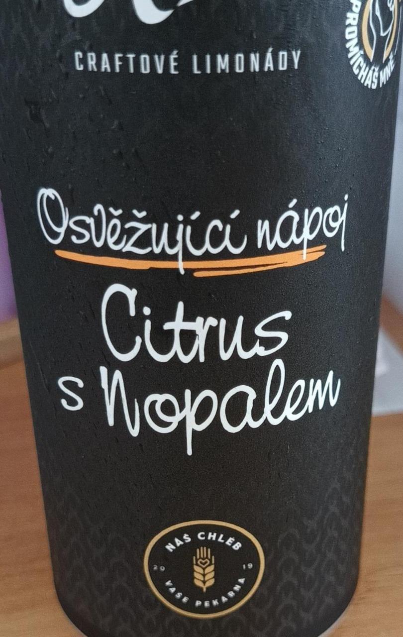 Fotografie - Raks osvěžující nápoj citrus s nopalem Náš chléb