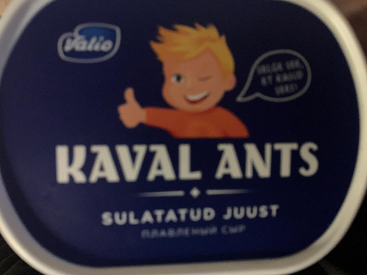 Fotografie - Kaval Ants Valio