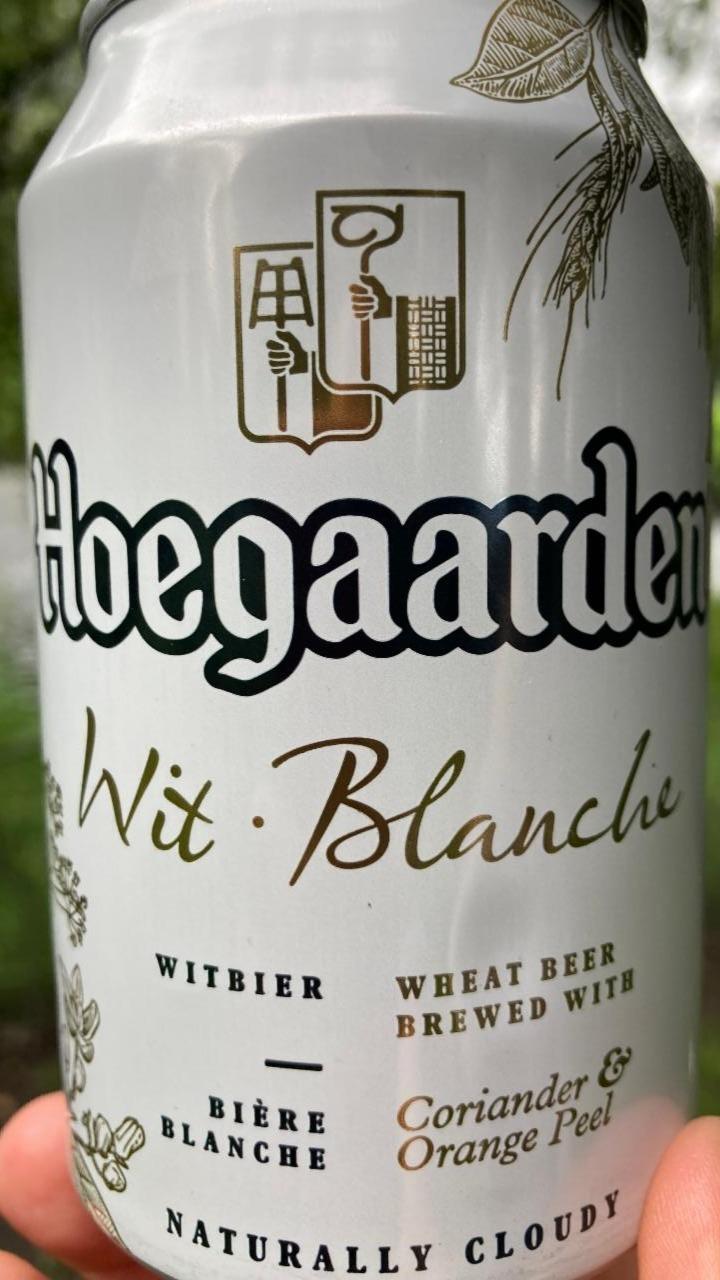 Fotografie - Hoegaarden Wit