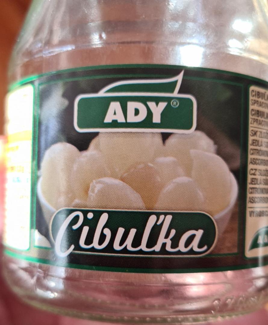 Fotografie - Cibulka Ady