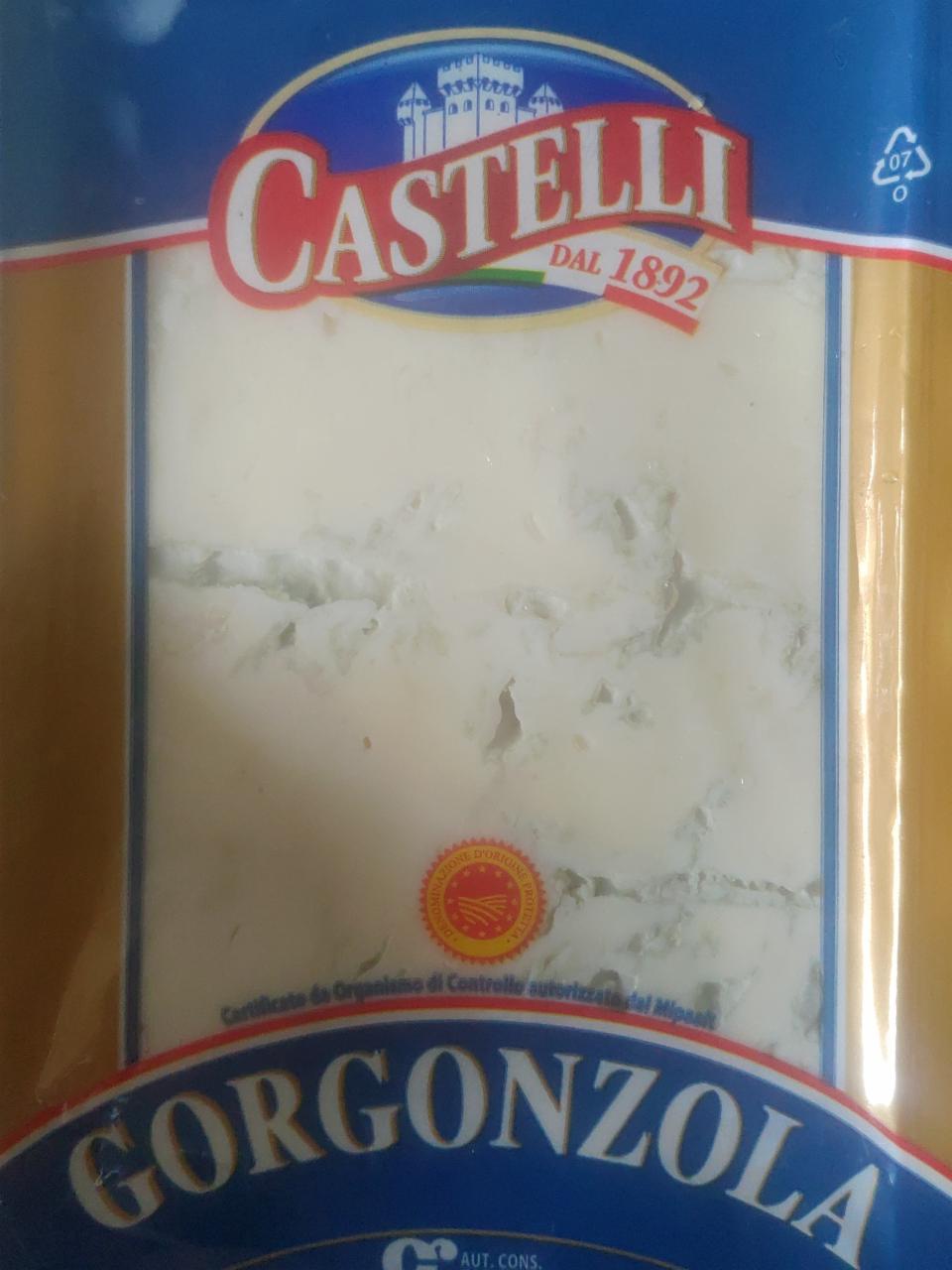 Fotografie - Gorgonzola Castelli