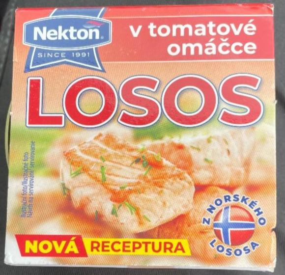 Fotografie - Losos v tomatové omáčce Nekton