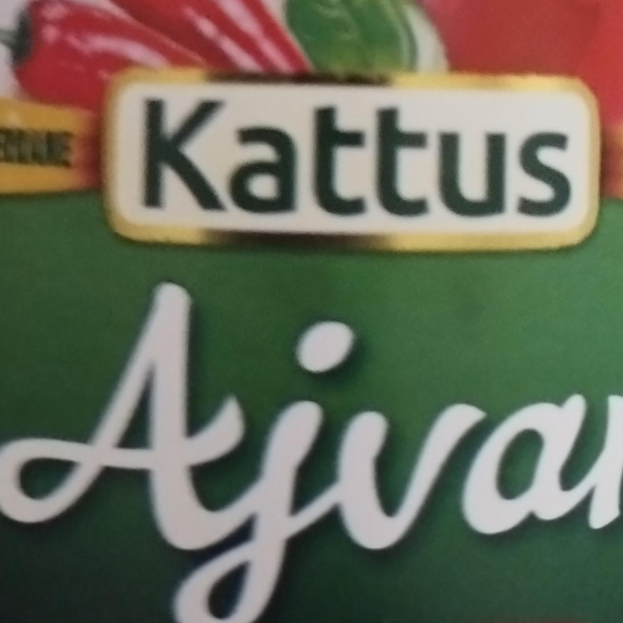 Fotografie - Ajvar Kattus