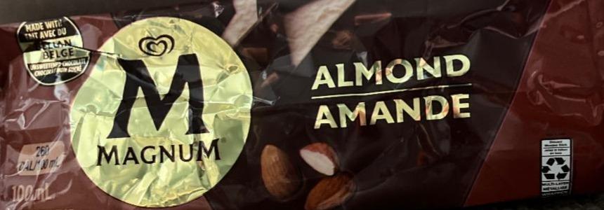 Fotografie - Magnum almond Algida