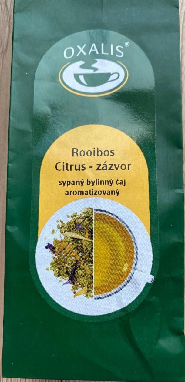 Fotografie - Rooibos Citrus - zázvor Oxalis