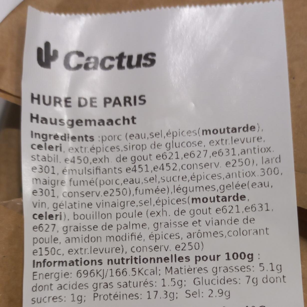 Fotografie - Hure de Paris Cactus