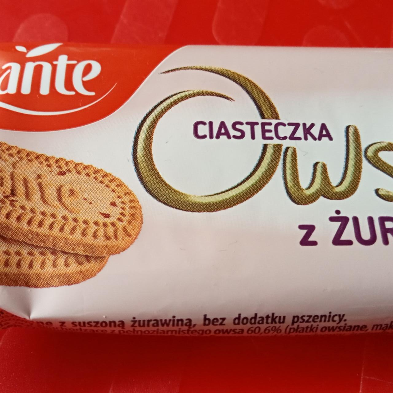 Fotografie - Ciastka Owsiane z Żurawiną Sante