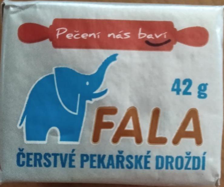 Fotografie - Droždí čerstvé Fala