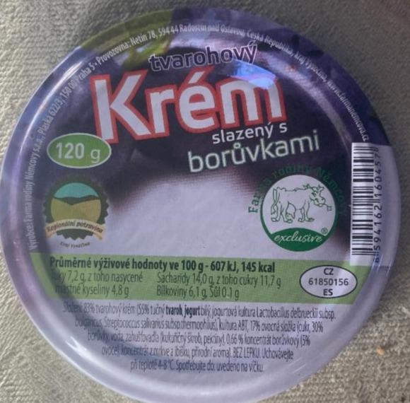 Fotografie - tvarohový krém borůvka farma Němcových