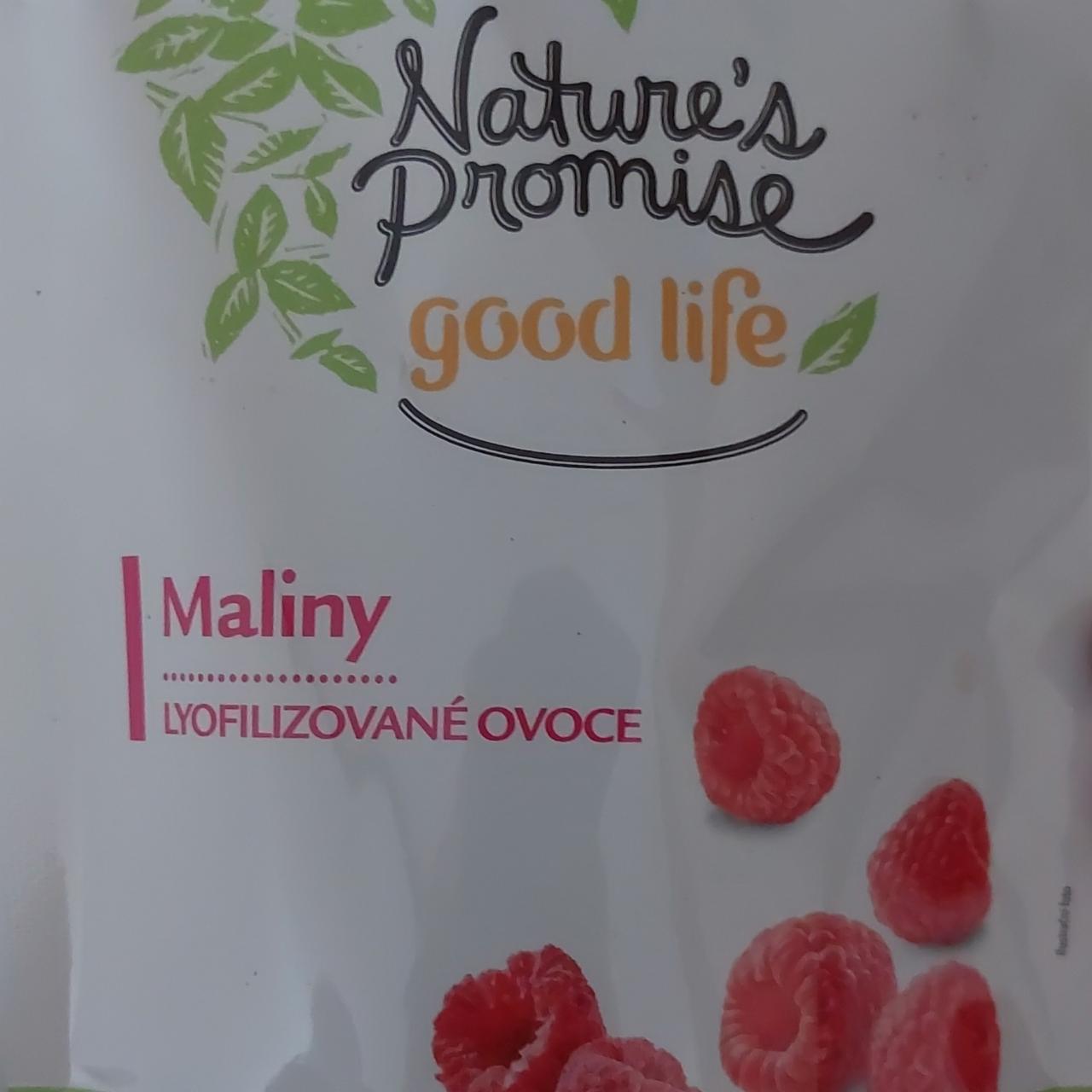 Fotografie - Maliny lyofilizované ovoce Nature's Promise