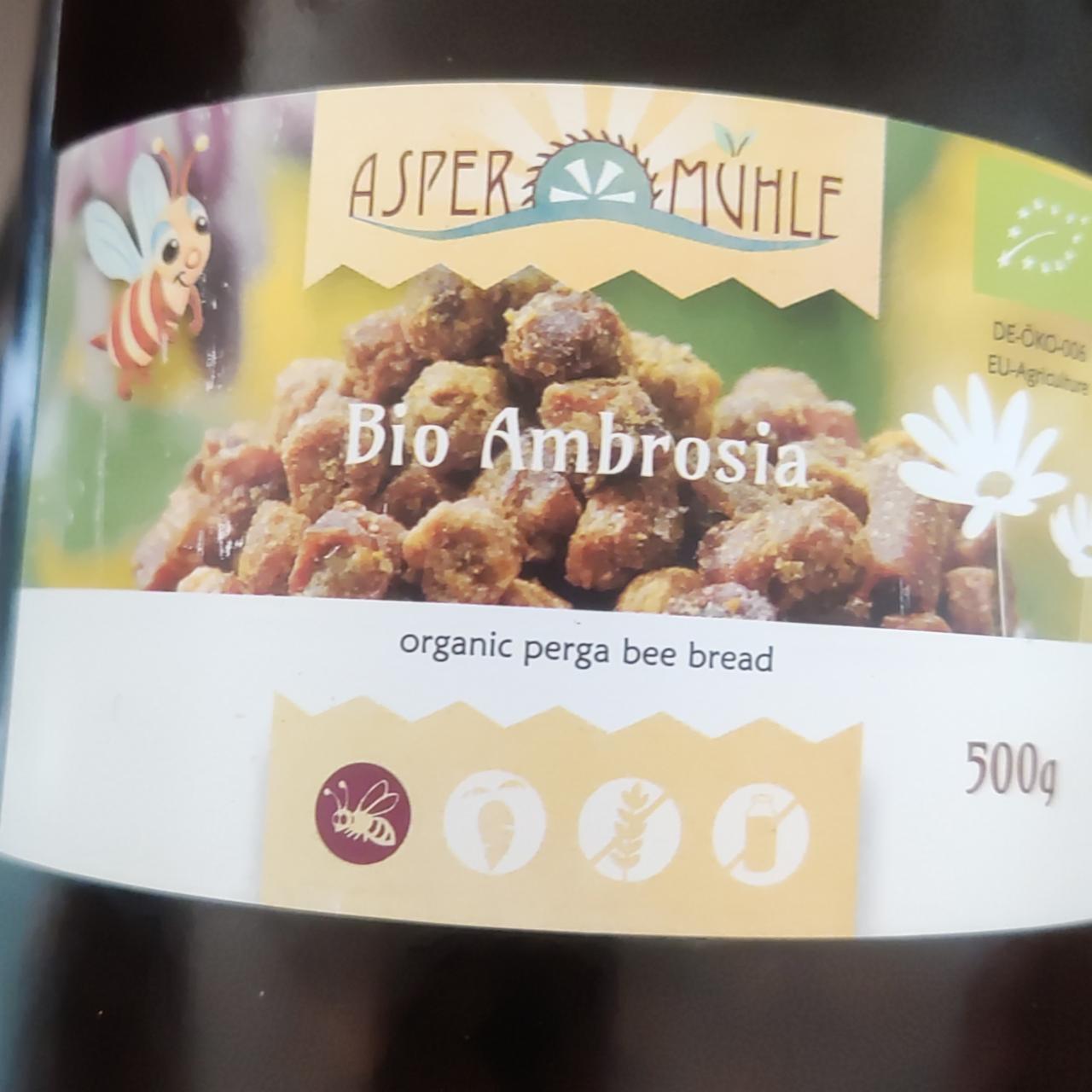 Fotografie - Bio Ambrosia Asper Muhle