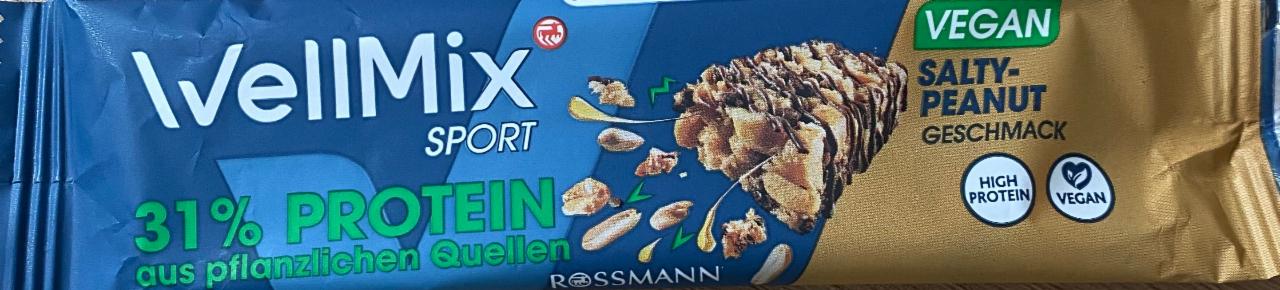 Fotografie - 31% Protein salty-peanut WellMix