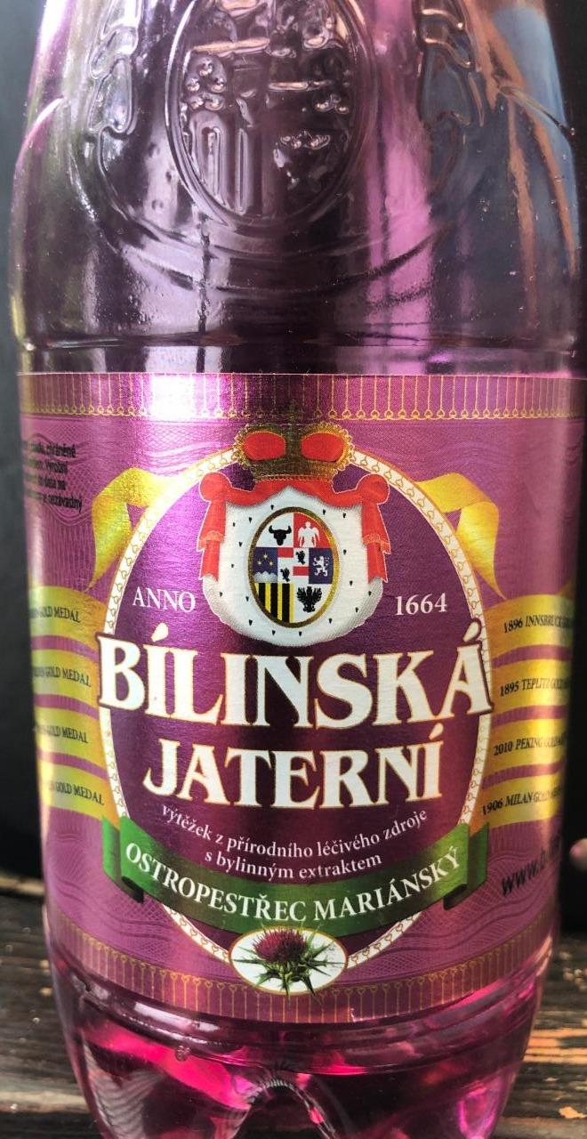 Fotografie - Bílinská jaterní