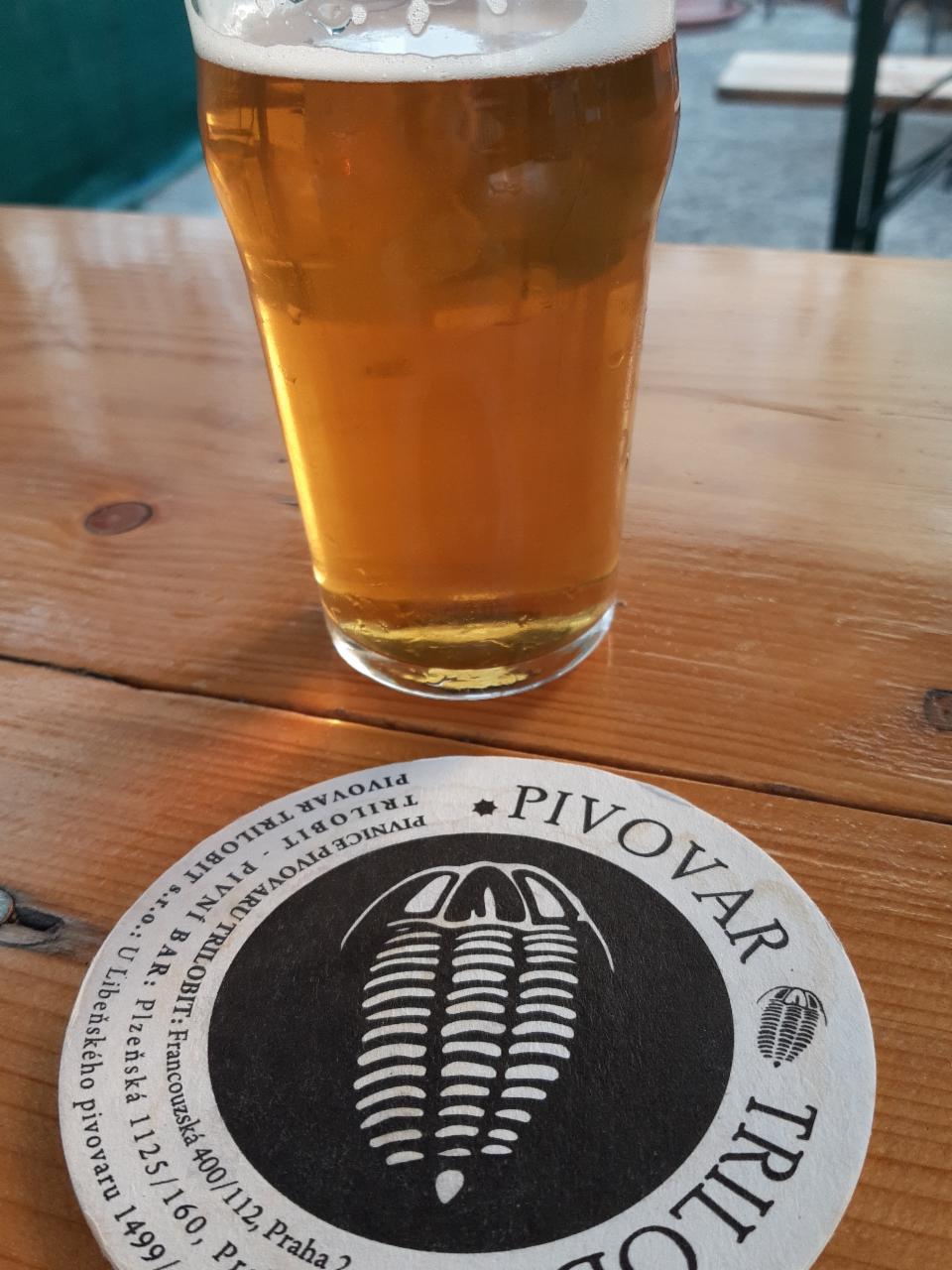 Fotografie - NEIPA Pivovar Trilobit