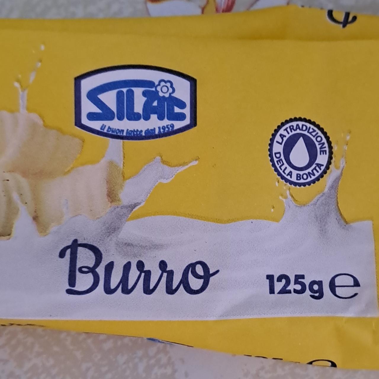 Fotografie - Burro Silac