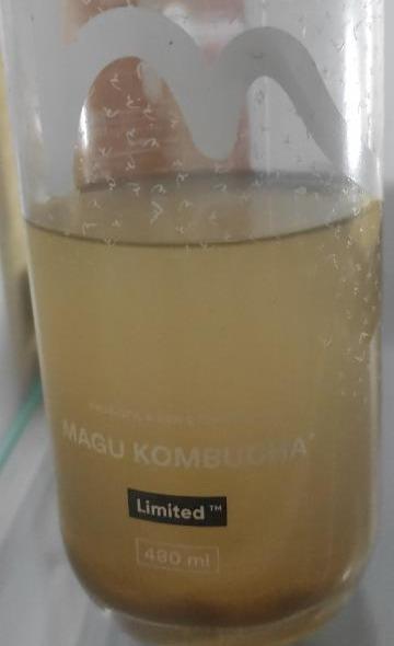 Fotografie - magu kombucha limited