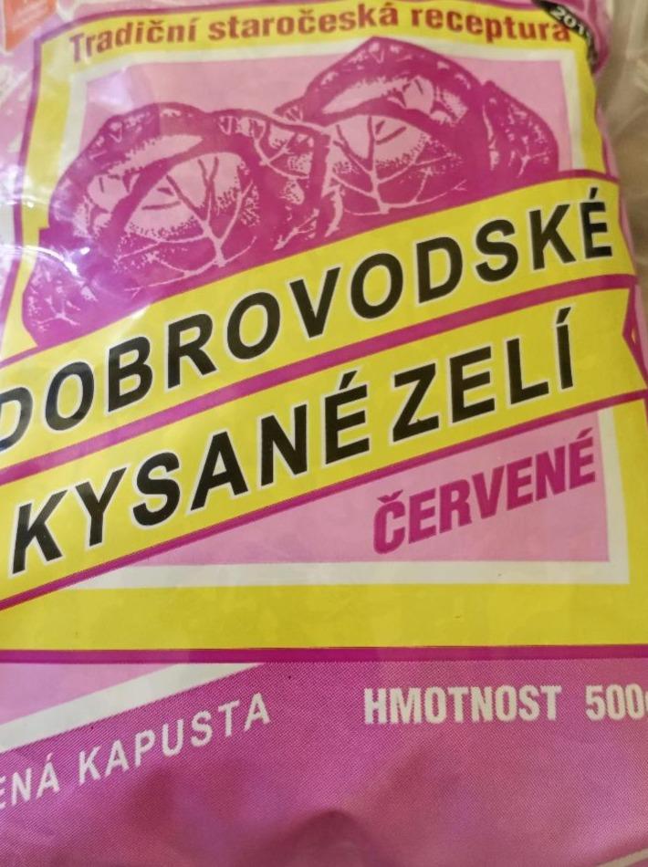 Fotografie - Dobrovodské kysané zelí červené