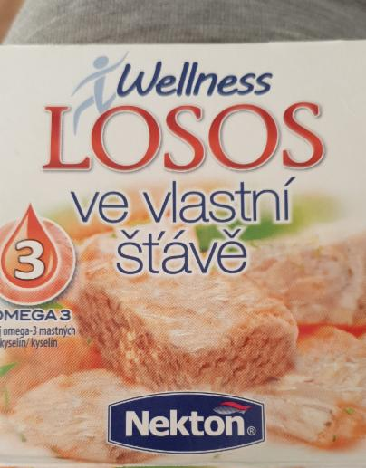 Fotografie - Wellness losos ve vlastní šťávě Nekton