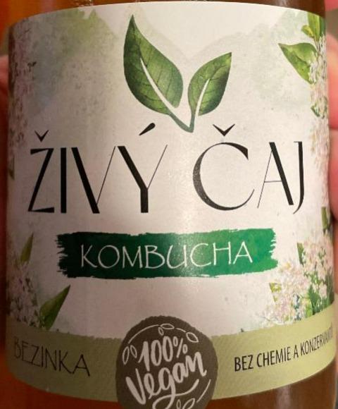 Fotografie - Kombucha Bezinka Živý čaj