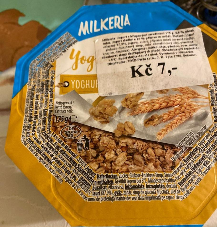 Fotografie - jogurt Milkeria