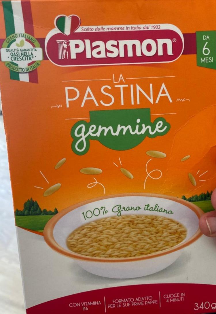 Fotografie - la Pastina gemmine Plasmon