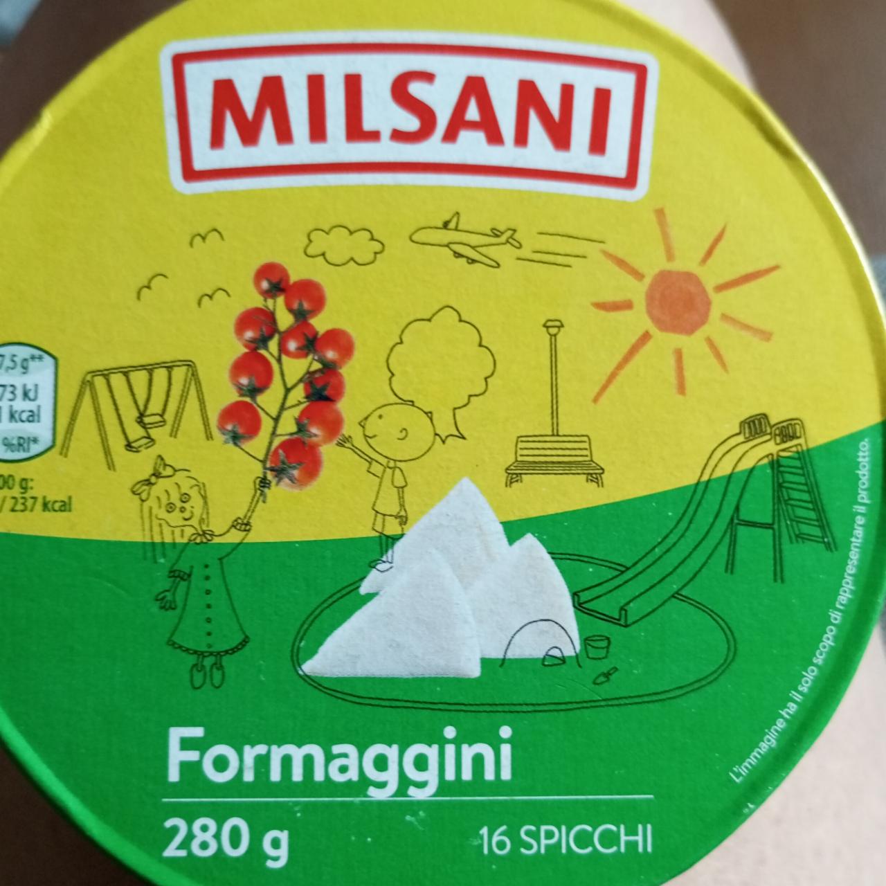 Fotografie - Formaggini Milsani