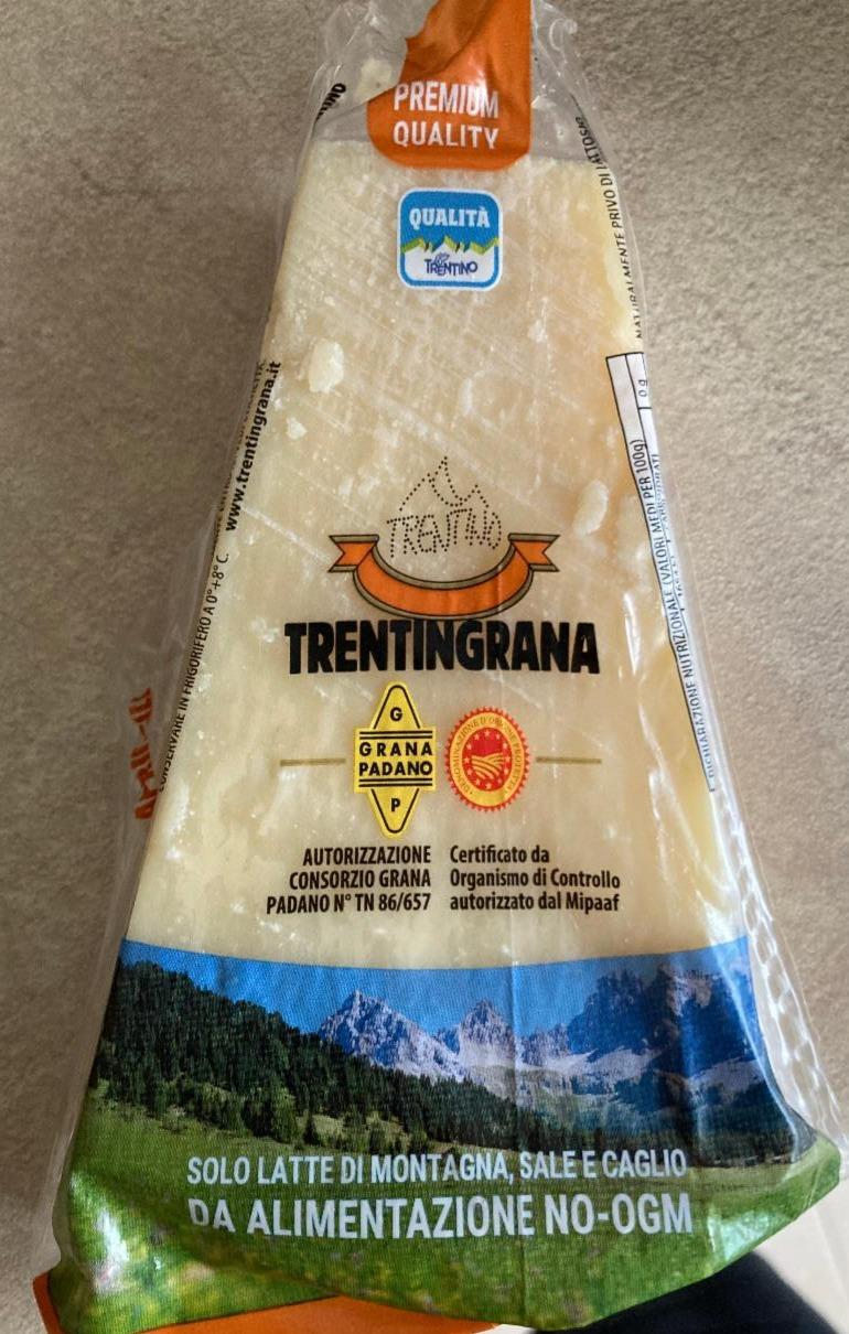 Fotografie - Trentingrana Parmesan