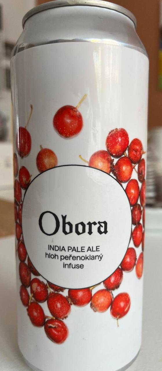 Fotografie - India Pale Ale Hloh Peřenoklaný Infuse Obora