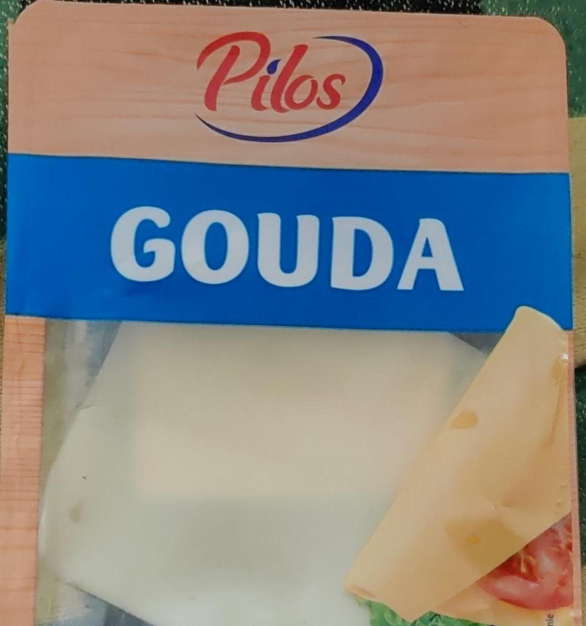 Fotografie - Gouda Pilos