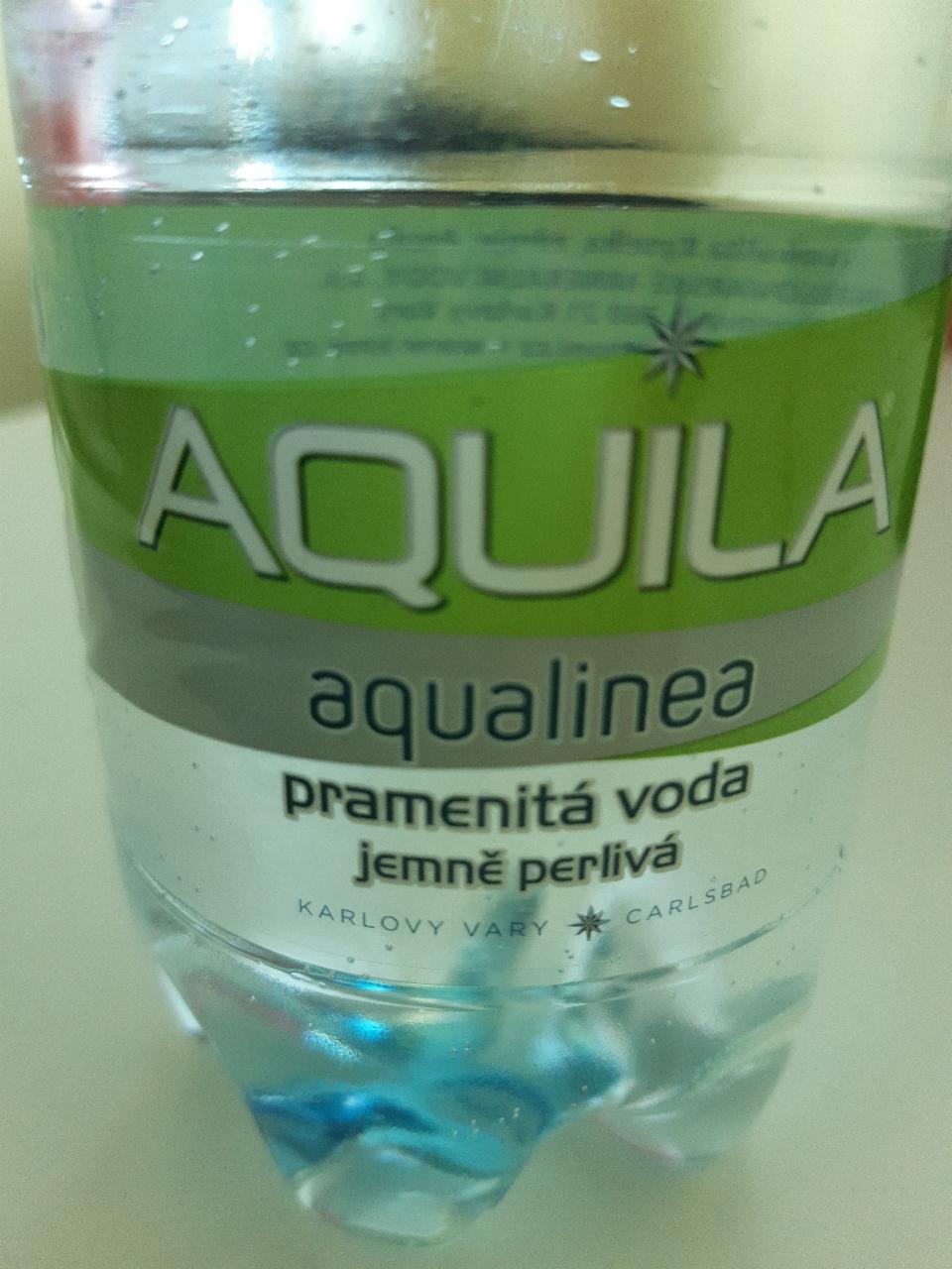 Fotografie - Aquila Aqualinea