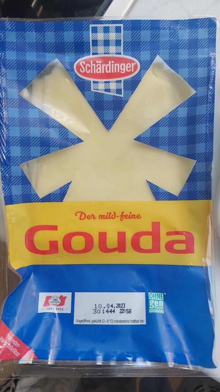 Fotografie - Gouda schardinger