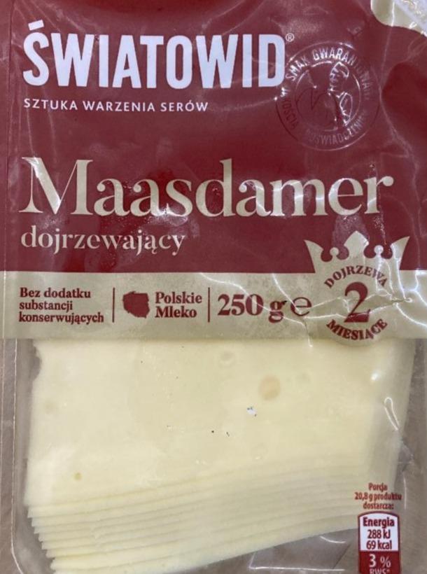 Fotografie - maasdamer Światowid dojrzewajacy