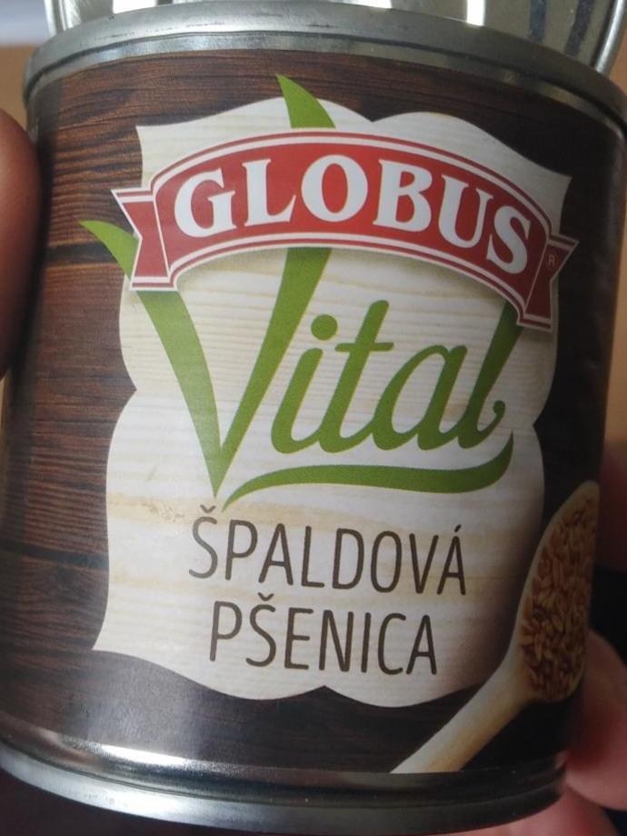 Fotografie - Vital špaldová pšenica Globus