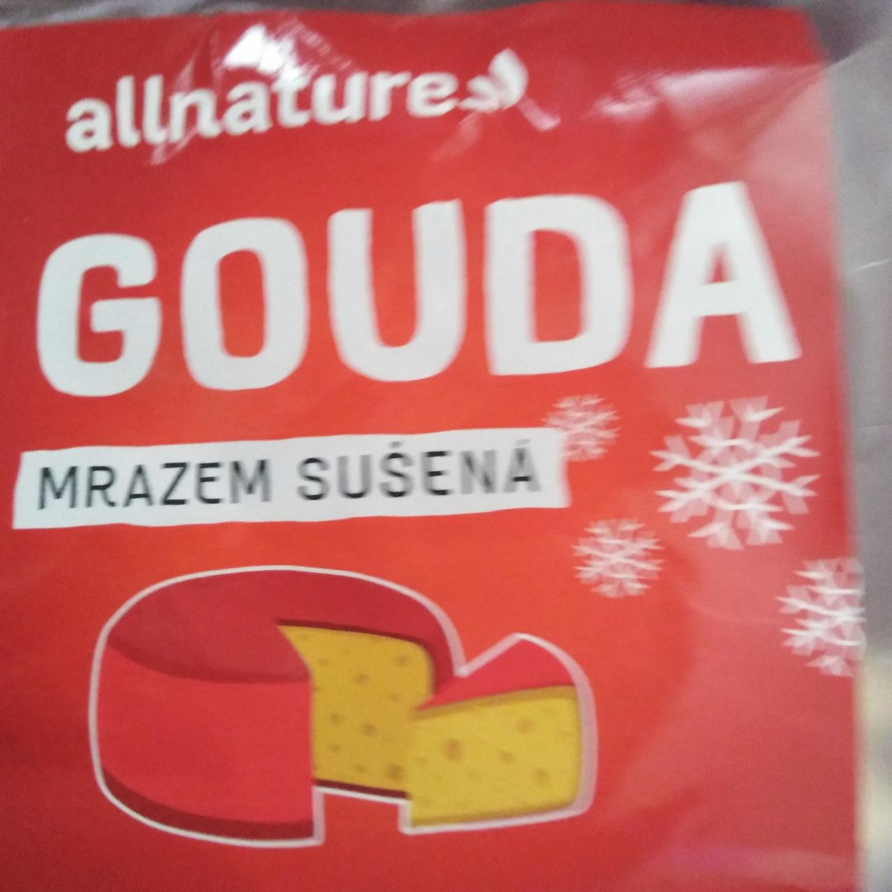 Fotografie - Gouda mrazem sušená Allnature