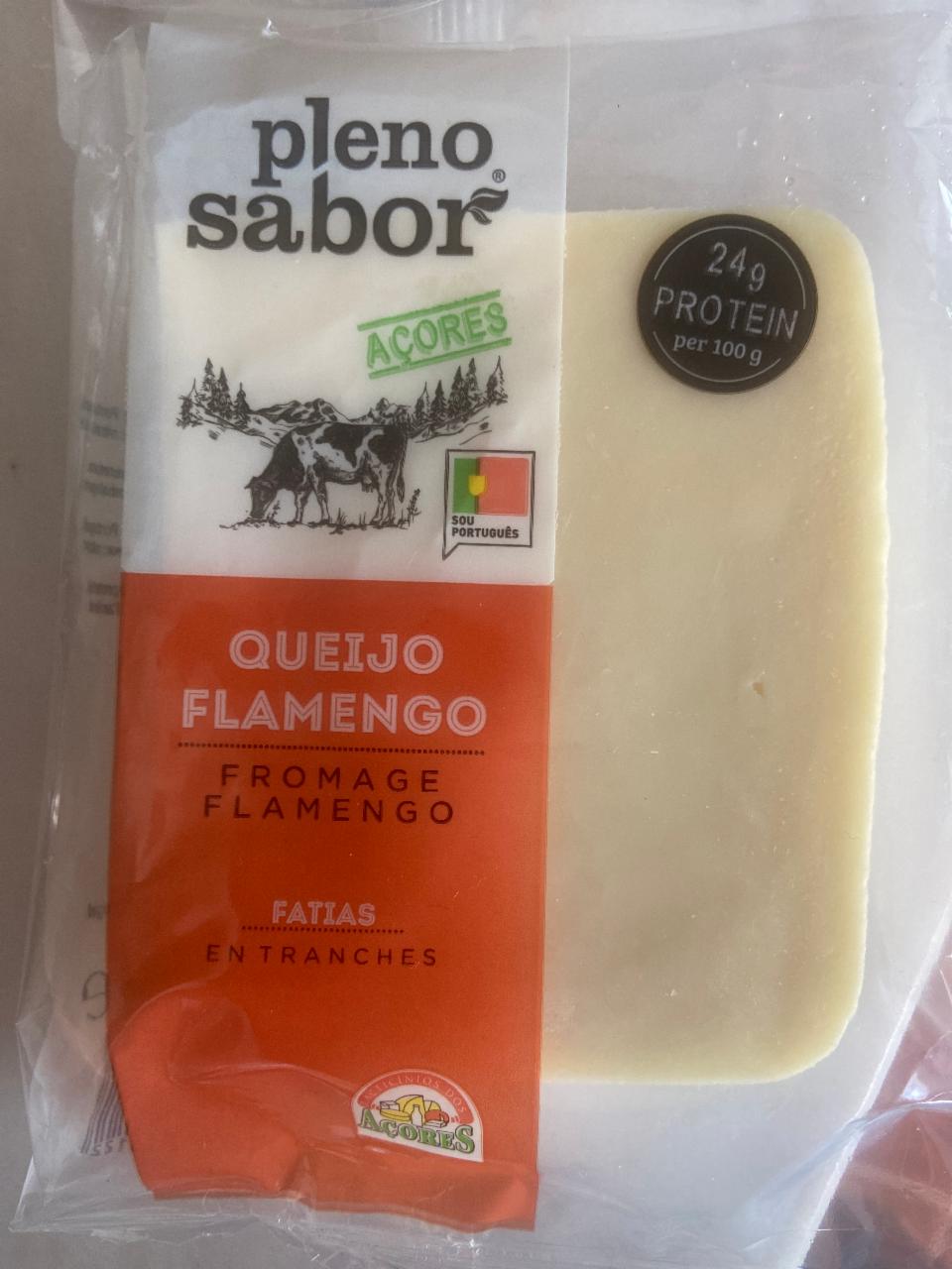 Fotografie - Queijo flamengo fatias Pleno Sabor