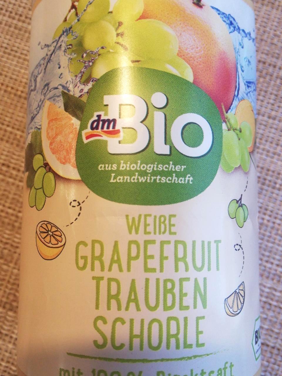 Fotografie - Weiße grapefruit trauben schorle dmBio