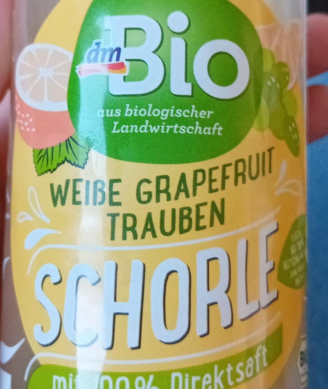 Fotografie - Weiße grapefruit trauben schorle dmBio