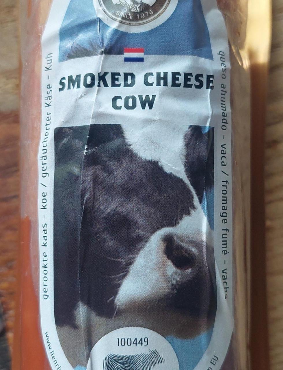 Fotografie - Smoked cheese cow gerookte gesmolten kaas 45+ naturel Henri Willig