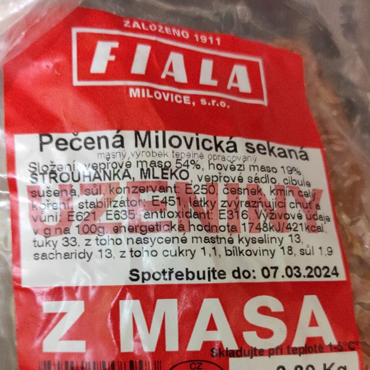 Fotografie - Pečená Milovická sekaná