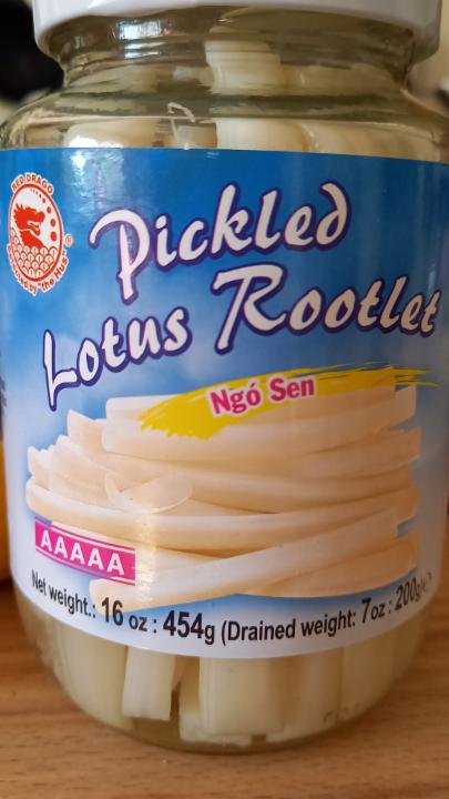 Fotografie - Pickled Lotus rootlet